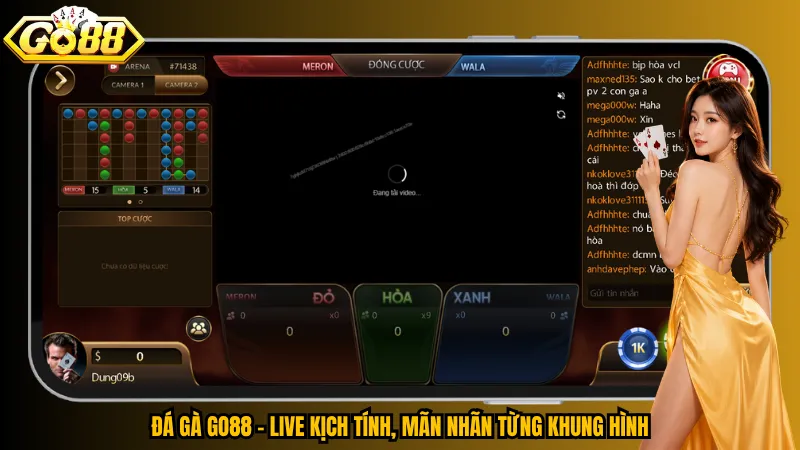 Đá gà Go88 – Live kịch tính, mãn nhãn từng khung hình