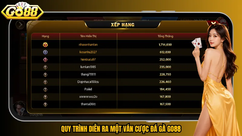 Quy trình diễn ra một ván cược đá gà Go88