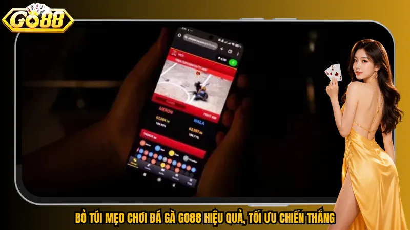 Bỏ túi mẹo chơi đá gà Go88 hiệu quả, tối ưu chiến thắng