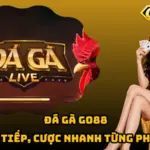 Đá Gà Go88 - Xem Trực Tiếp, Cược Nhanh Từng Pha Đối Đầu