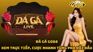 Đá Gà Go88 - Xem Trực Tiếp, Cược Nhanh Từng Pha Đối Đầu