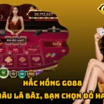 Hắc Hồng Go88 – Đoán Màu Lá Bài, Bạn Chọn Đỏ Hay Đen?