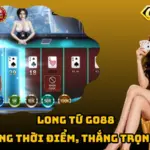 Long Tứ Go88 – Chốt Đúng Thời Điểm, Thắng Trọn Mỗi Ván